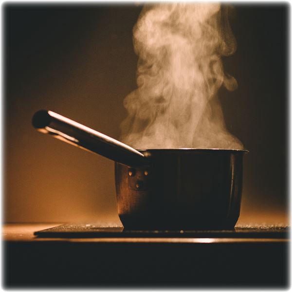 25.05 - Damp, Mould & Condensation - Pan Steam